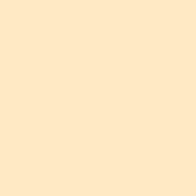 Matte Contact Paper - Light Beige