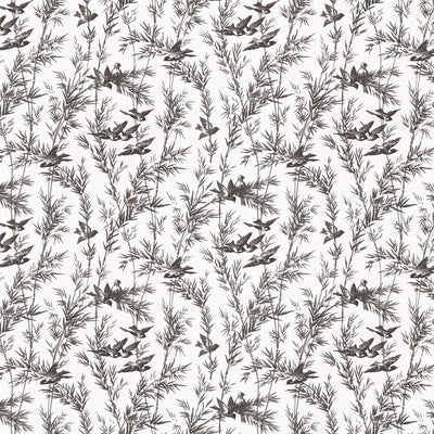 Soar Wallcovering - Wisp