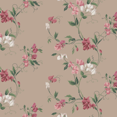 Sweetpea Wallcovering