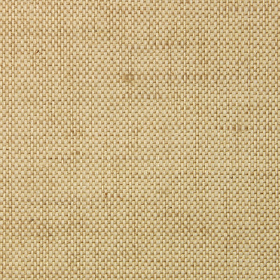 Small Beige Grasscloth Wallcovering