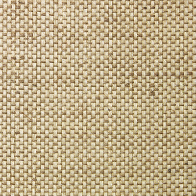 Large Beige Grasscloth Wallcovering