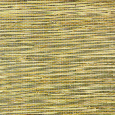 Khaki Grasscloth Wallcovering