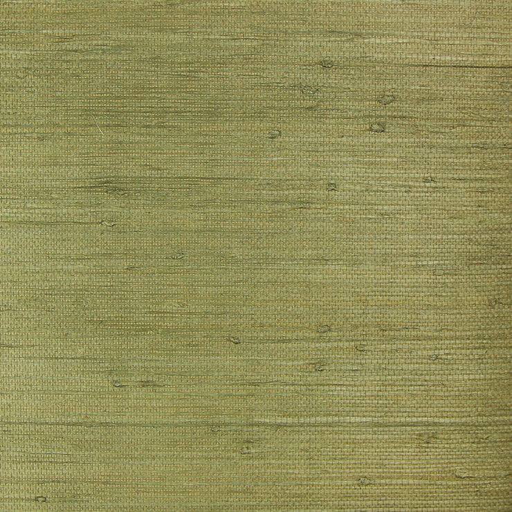 Olive Grasscloth Wallcovering