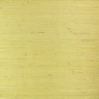 Blonde Grasscloth Wallcovering