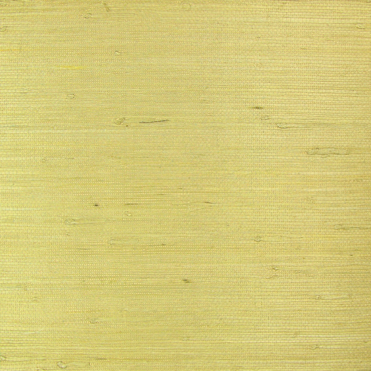 Blonde Grasscloth Wallcovering