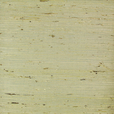 Juniper Grasscloth Wallcovering