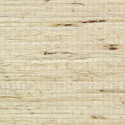 Arrowroot Fine Wallcovering - Cream