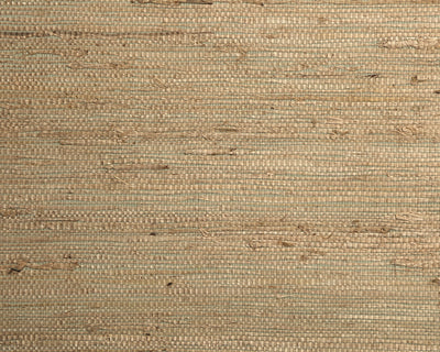 Arrowroot Fine Wallcovering - Wheat