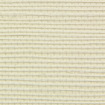 Sisal Wallcovering - Isabelline