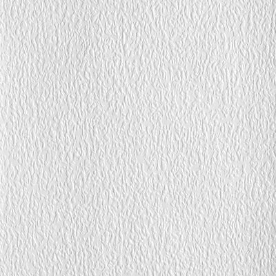 Lace Bark Paintable Embossed Wallcovering