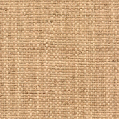 Honey Raffia Wallcovering